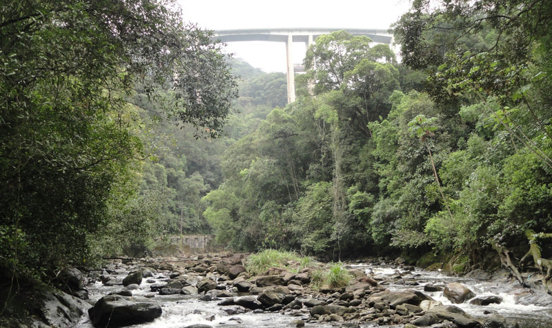 Descubra como o comércio eletrônico está dominando o mercado brasileiro! Em Abaetetuba, Pará, o WebCatálogo é a ferramenta ideal para quem busca praticidade, conforto e segurança na hora de abrir sua loja virtual.