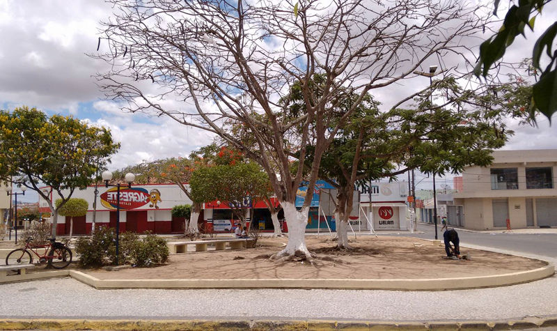 Descubra como o comércio eletrônico está dominando o mercado brasileiro! Em Abaetetuba, Pará, o WebCatálogo é a ferramenta ideal para quem busca praticidade, conforto e segurança na hora de abrir sua loja virtual.